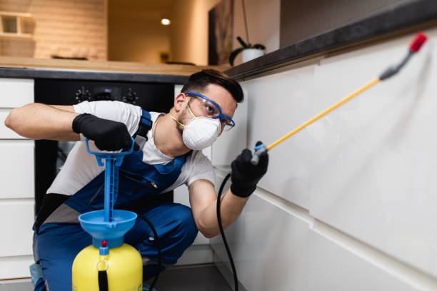 Best Emergency Pest Control  in Inniswold, LA