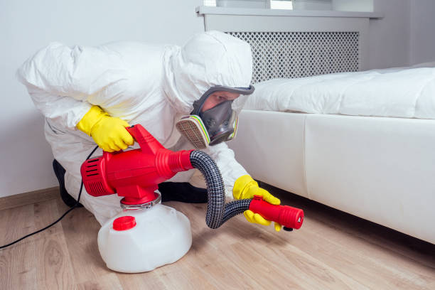 Best Local Pest Control Services  in Inniswold, LA