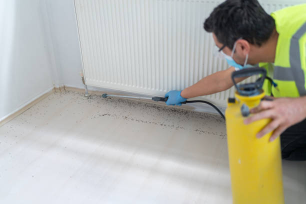 Best Bed Bug Extermination  in Inniswold, LA