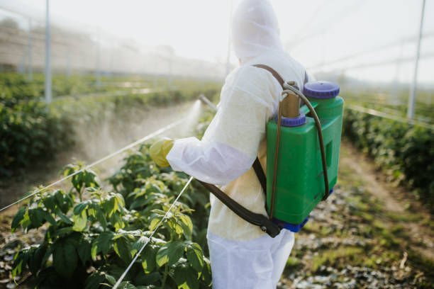 Best Mosquito Control Services  in Inniswold, LA